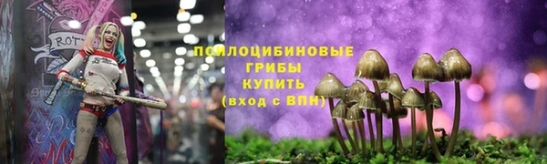 скорость mdpv Белокуриха