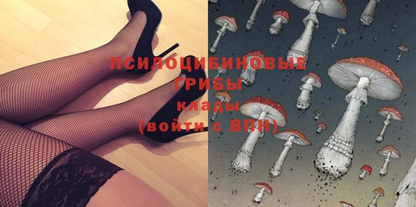 мяу мяу кристалл Няндома