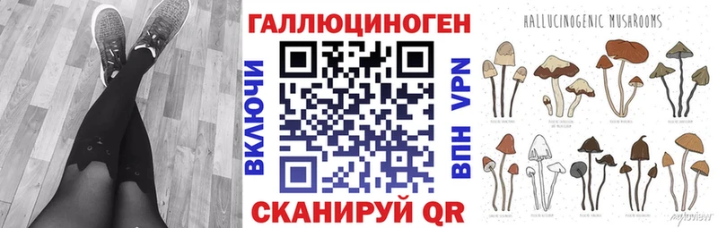 Галлюциногенные грибы Psilocybe как найти закладки Ковылкино